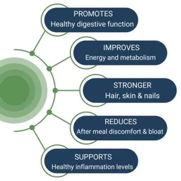 Healthy Gut HCL Guard+ | Promotes Healthy Digestive Function | Betaine Hydrochloride, Organic Ginger Root and DGL, & Pepsin | 60 Servings