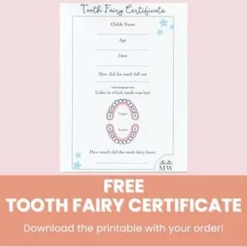 Personalized Tooth Fairy Pillow for Girls, Tooth Fairy Door Hanger, Tooth Fairy Pillow with Pocket, Tooth Holder, Tooth Keepsake Tooth Pillow, Tooth Fairy Pouch for Girls, Tooth Fairy Kit