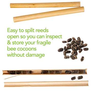 Rivajam 75 Phragmite Reed Mason Bee Tubes | Refill Your Mason Bee House, Bee Hotel Nest Box, Solitary Bee Hive & Pollinator Bee Box | Mason Bee Houses for The Garden Starter Kit & Mason Bees Supplies