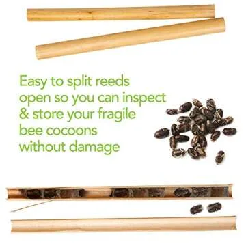 Rivajam 75 Phragmite Reed Mason Bee Tubes | Refill Your Mason Bee House, Bee Hotel Nest Box, Solitary Bee Hive & Pollinator Bee Box | Mason Bee Houses for The Garden Starter Kit & Mason Bees Supplies