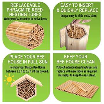 Rivajam 75 Phragmite Reed Mason Bee Tubes | Refill Your Mason Bee House, Bee Hotel Nest Box, Solitary Bee Hive & Pollinator Bee Box | Mason Bee Houses for The Garden Starter Kit & Mason Bees Supplies