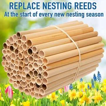 Rivajam 75 Phragmite Reed Mason Bee Tubes | Refill Your Mason Bee House, Bee Hotel Nest Box, Solitary Bee Hive & Pollinator Bee Box | Mason Bee Houses for The Garden Starter Kit & Mason Bees Supplies