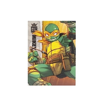 BST AXN TMNT Michelangelo IDW Comic Heroes Action Figure