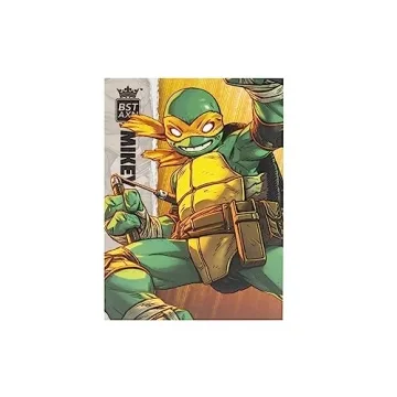 BST AXN TMNT Michelangelo IDW Comic Heroes Action Figure