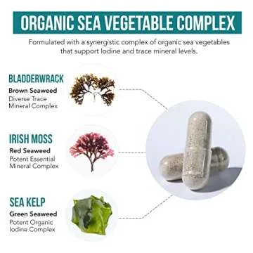 Organic Iodine Supplement – 1,500 mcg Iodine, Max Strength - from Sea Vegetable Complex, Whole Food & Raw Form – Contains Purest Icelandic Sea Kelp, Irish Moss & Bladderwrack (1500 mcg)