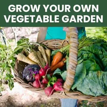 Fall & Winter Seed Variety Pack | 30 Invidiual Packs | 2025 Season | Non-GMO | Beets, Arugula, Carrots, Lettuce & More! | for Planting Indoor & Outdoor | by Family Sown