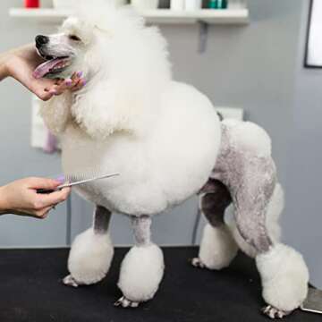 Chris Christensen 9in Coarse Poodle Butter Comb, Groom Like a Professional, Rounded Corners Prevent Friction and Breakage, Solid Brass Spin with Steel Teeth, Chrome Finish