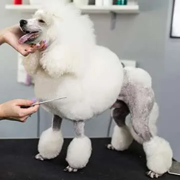 Chris Christensen 9in Coarse Poodle Butter Comb, Groom Like a Professional, Rounded Corners Prevent Friction and Breakage, Solid Brass Spin with Steel Teeth, Chrome Finish