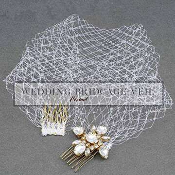 Heread 1920s Bride Wedding Birdcage Veil White Crystal Bridal Headpiece Accessories with Comb for Women and Girls