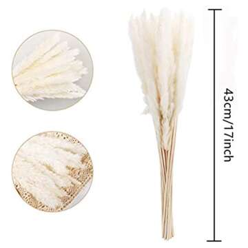 Dry Pampas Grass Natural Dried Bundle for Home Decor 20pcs(White)