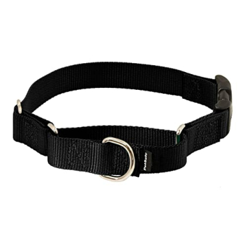 PetSafe Martingale Dog Collar with Quick-Snap Buckle