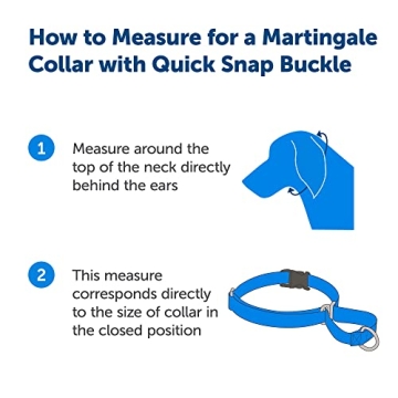 PetSafe Martingale Dog Collar with Quick-Snap Buckle