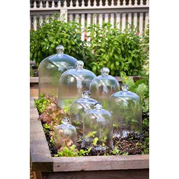 Park Hill Collection Glass Cloche Bell Jar - Plant Terrarium - Centerpiece Dome Display (15" x 9")