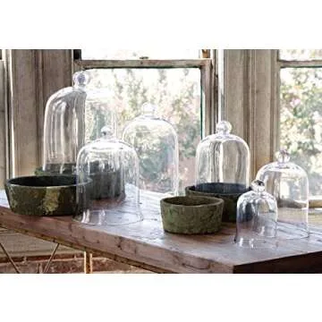 Park Hill Collection Glass Cloche Bell Jar - Plant Terrarium - Centerpiece Dome Display (15" x 9")