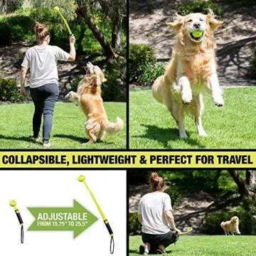 Hyper Pet Dog Ball Thrower Launcher for Fetch Fun