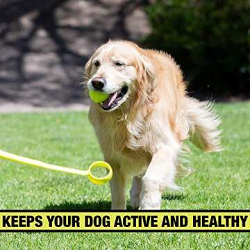 Hyper Pet Dog Ball Thrower Launcher for Fetch Fun