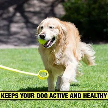 Hyper Pet Dog Ball Thrower Launcher for Fetch Fun