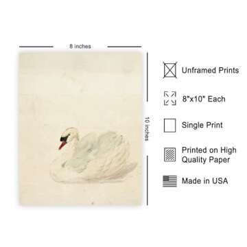 Poster Master Vintage Swan Poster - Retro White Swan Painting Print - French Country Art - Bird Art - Gift for Him, Her & Animal Lover - Chic Decor for Living Room, Nursery - 8x10 UNFRAMED Wall Art