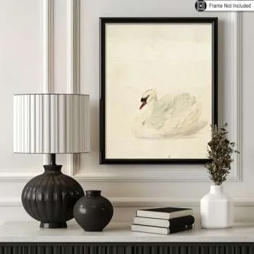 Poster Master Vintage Swan Poster - Retro White Swan Painting Print - French Country Art - Bird Art - Gift for Him, Her & Animal Lover - Chic Decor for Living Room, Nursery - 8x10 UNFRAMED Wall Art