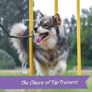 Pet Botanics Mini Puppy Bites Low Calorie Dog Treats