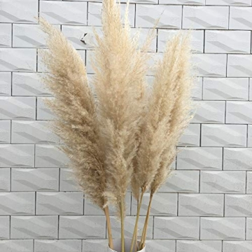Fashion nan Home Decoration 10pcs Natural Reed Dried Flower Pampas Grass Bouquet Wedding Flower Cere...