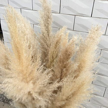 Elegant Natural Reed Dried Flower Bouquets for All Occasions