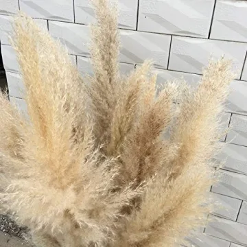 Elegant Natural Reed Dried Flower Bouquets for All Occasions