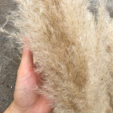 Elegant Natural Reed Dried Flower Bouquets for All Occasions