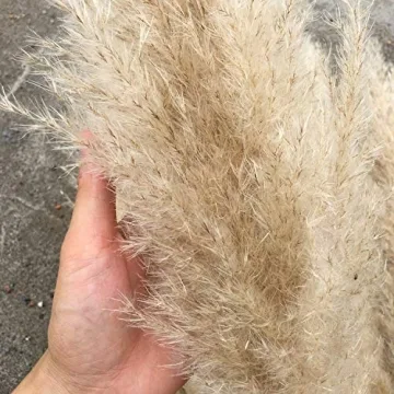 Elegant Natural Reed Dried Flower Bouquets for All Occasions