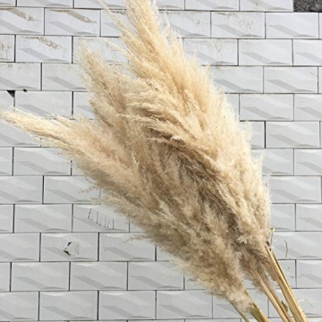 Elegant Natural Reed Dried Flower Bouquets for All Occasions