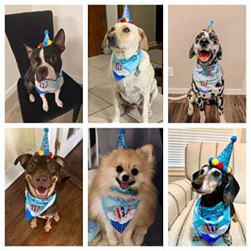 ADOGGYGO Dog Birthday Bandana Set for Celebrations