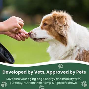 Vet Naturals Hemp & HIPS - Dog Joint Supplement Large Breed - Senior Dog Supplements - Glucosamine a...
