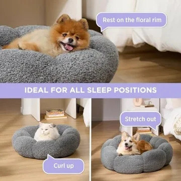 Lesure Calming Small Dog Bed for Cozy Naps