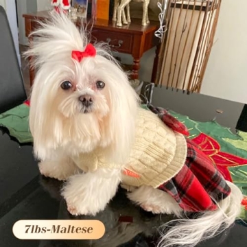 KYEESE Dog Sweater Soft Cableknit Turtleneck Pullover for Small Dogs