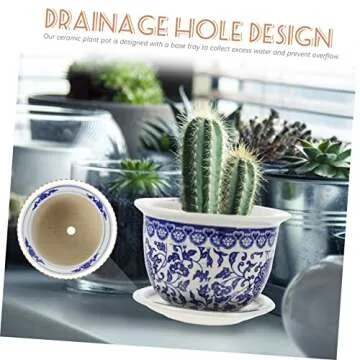 Blue and White Porcelain Flowerpot for Stylish Plants