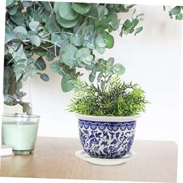 Blue and White Porcelain Flowerpot for Stylish Plants