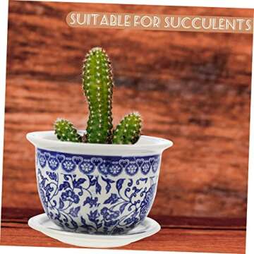 Blue and White Porcelain Flowerpot for Stylish Plants