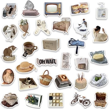 INS Aesthetic Stickers Pack: 63 Fun Vinyl Designs For Everyone