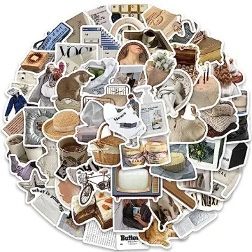 INS Aesthetic Stickers Pack: 63 Fun Vinyl Designs For Everyone