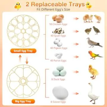 18 Egg Incubator with Automatic Humidity & Turning