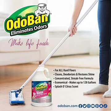 OdoBan Oxy Stain Remover & Neutral pH Cleaner for Pets