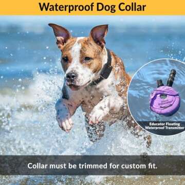 Educator E-Collar Humane Dog Training Collar with Remote, 100 Safe Tapping Stimulation Levels, Night Light, Waterproof, Rechargeable, 1/3 Mile 1 Small Dog, Purple