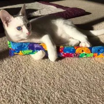 Kitty Kick Stix 11" Original Catnip Kicker Toy (Set of 2), Handmade in USA by Cat Lovers, Interactiv...