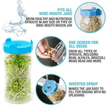 Masontops Bean Screen Plastic Mason Jar Sprouting Lids Mason Jar Sprouting Kit – For Growing Broccoli Seeds, Alfalfa, Mung Bean Sprouts – Wide Mouth Seed Sprouting Jar Lids Sprouting Kit Mason Jar