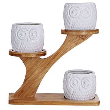 3pcs Owl Succulent Pots with 3 Tier Bamboo Saucers Stand Holder - White Modern Decorative Ceramic Fl...