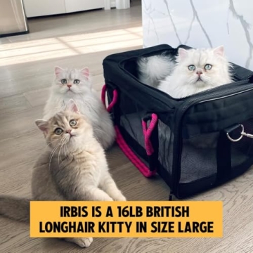 ROVERLUND Airline-Compliant Pet Carrier | Includes Leash | Suitable for Pets up to 20lbs