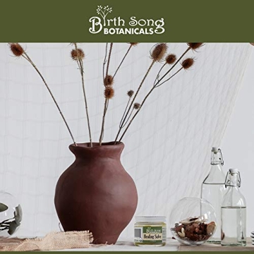 Birth Song Botanicals Herbal Healing Salve First Aid Ointment, Herbal Skin Irritations Salve, 1.5oz Jar