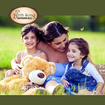 Birth Song Botanicals Herbal Healing Salve First Aid Ointment, Herbal Skin Irritations Salve, 1.5oz Jar