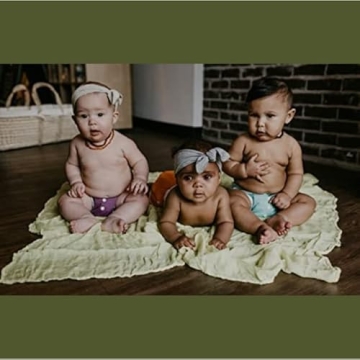 Birth Song Botanicals Herbal Healing Salve First Aid Ointment, Herbal Skin Irritations Salve, 1.5oz Jar