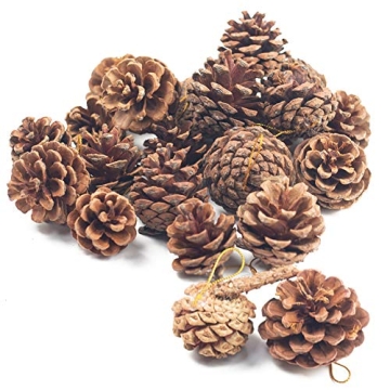 JOHOUSE Pine Cones 18 PCS for Christmas Rustic Decor